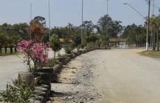 Parque Ecológico recebe 900 mudas de árvores