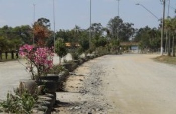 Parque Ecológico recebe 900 mudas de árvores