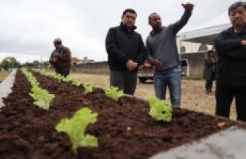 Horta Comunitária é inaugurada