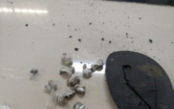 Apreensão de entorpecentes nos CDPs tem queda de 73%