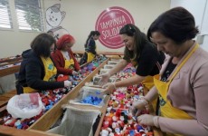 Ação de causa animal atinge Alto Tietê e Vale do Paraíba