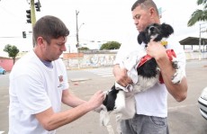 Região terá vacinação contra raiva apenas em Suzano