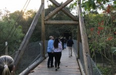 Ilha Marabá recebe 643 visitantes no primeiro mês