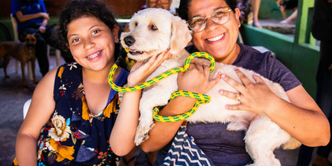 Mais de mil animais receberam castração gratuita em Ferraz  