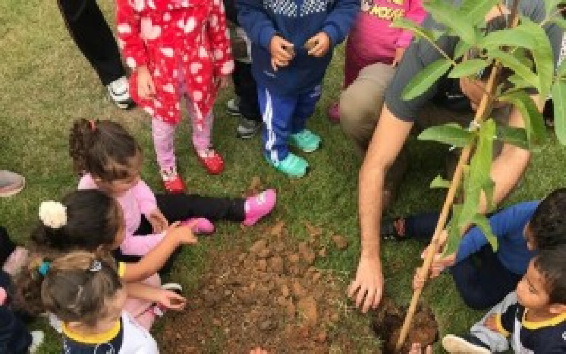 Ecofuturo faz plantio de mudas com crianças em Taiaçupeba