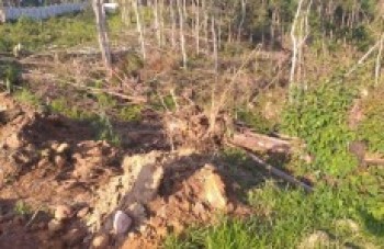 Prefeitura trabalha para evitar invasões de áreas