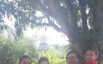 Avó passa a ser mãe dos netos