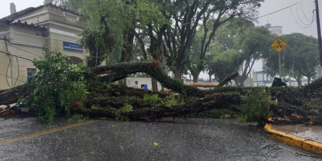 Temporal de domingo gera prejuízos às cidades na região
