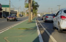 Canteiro da av. Lourenço de Souza Franco ganha cor