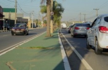 Canteiro da av. Lourenço de Souza Franco ganha cor