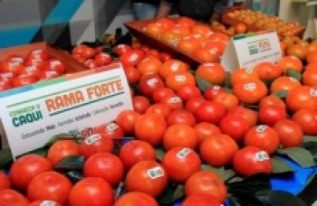 Venda de flores e de caqui agita o Largo do Rosário