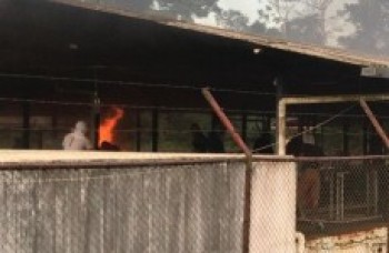 Rebelião em presídio no Pará deixa 52 mortos