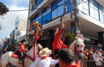 Entrada dos Palmitos acontece hoje