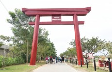 Mogilínguas realiza atividades práticas