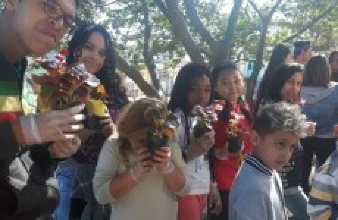 Cras do Caiuby retoma o projeto 'Gentileza Verde'
