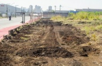 Área do Shibata na avenida será centro de distribuição