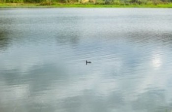 Comitê da Bacia Hidrográfica fará reunião na quarta-feira