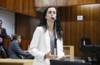 Fogos de artifício seguem em discussão