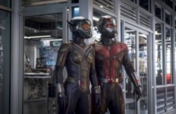 "Homem Formiga e Vespa"