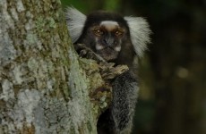 Prêmio Mogi Revela está com inscrições abertas até agosto