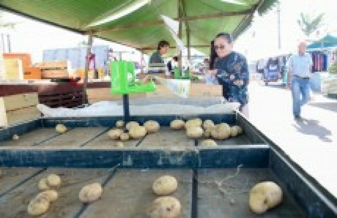 Feirantes reclamam da falta de entrega de produtos