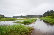 Chuvas elevam nível das represas