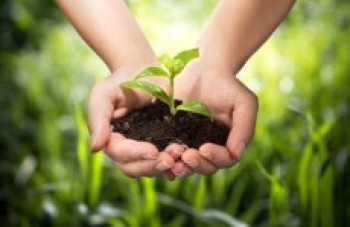 Cidades comemoram data com atividades