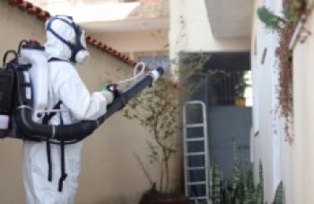 Trabalhos serão mostrados em Brasília