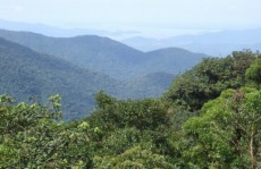 Condemat lança projeto de conservação