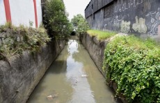 Condemat aguarda estudo sobre desassoreamento