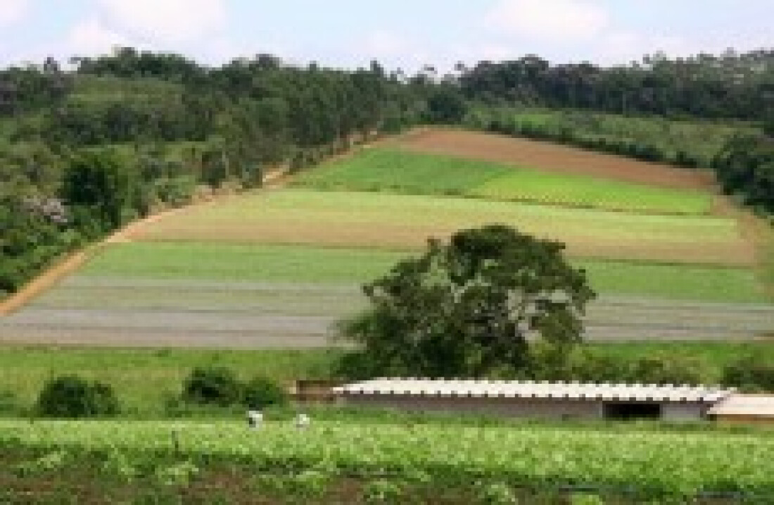 Conselho Rural promove planejamento