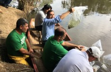 Depois de cinco anos fechada, Ilha Marabá foi reinaugurada