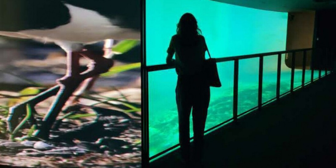 Rio ganha espaço de aprendizado sobre recuperação da Baía de Guanabara