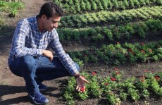 Viveiro instala fonte dos desejos e ponte da alegria