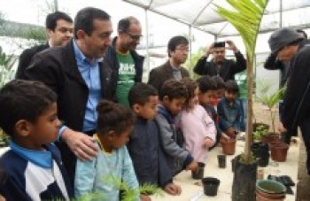 Prefeitura vai distribuir mudas de árvores para população