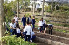 Atividades incluem eventos e palestras sobre ecologia