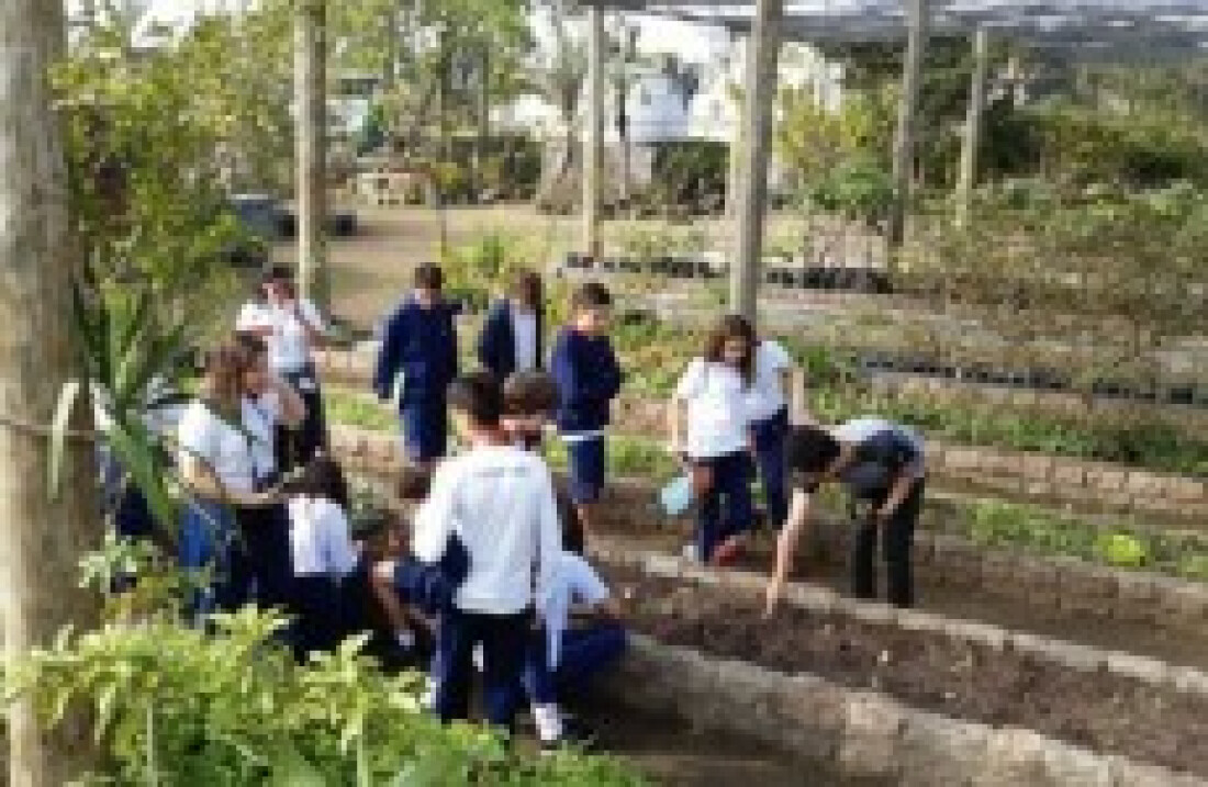 Atividades incluem eventos e palestras sobre ecologia