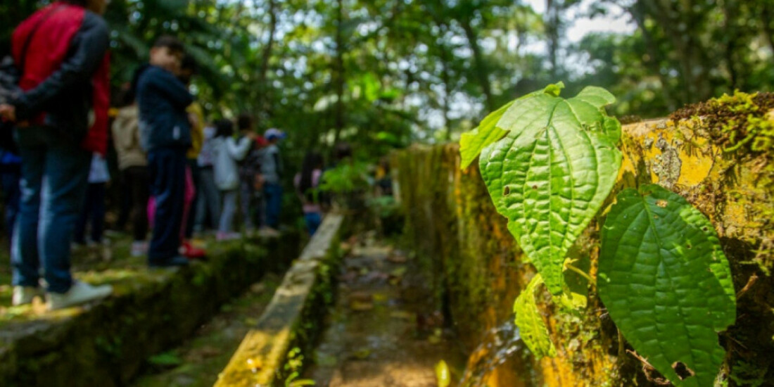 Verão no Parque recebe 210 inscrições e define turmas