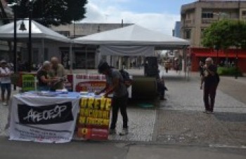 Mogi das Cruzes adere à greve