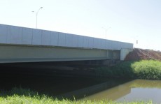 Animais terão segurança para cruzar Avenida das Orquídeas