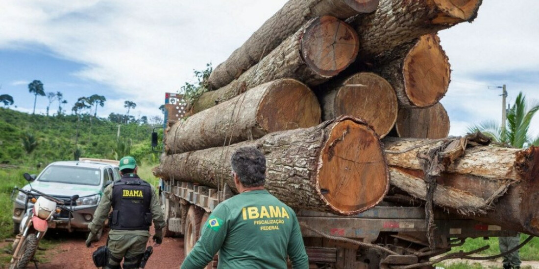 Ibama: Grupo vai fiscalizar fraudes em sistemas de controle florestal