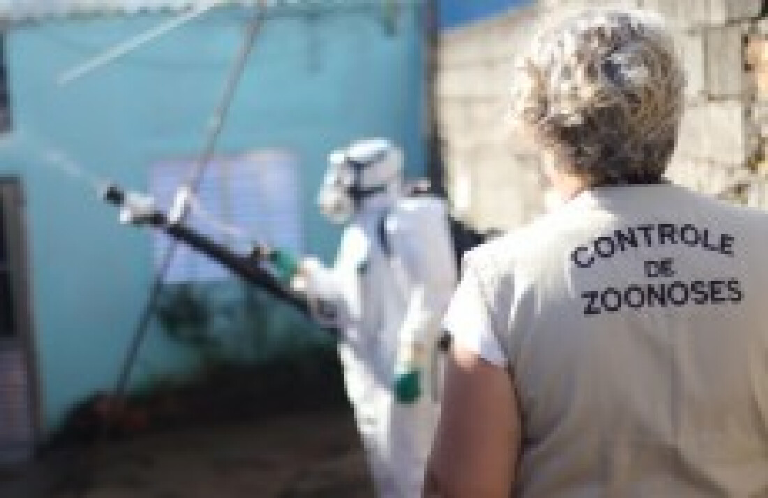 Zoonoses combate o mosquito Aedes aegypti no Boa Vista