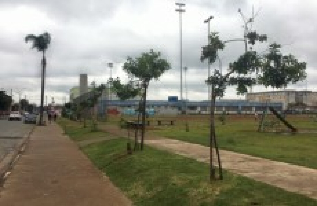 Abertura tem homenagem a protetores de árvores e plantio