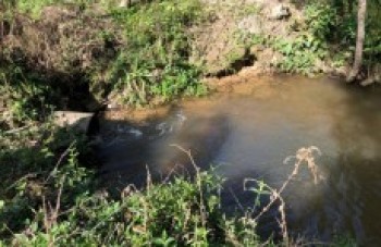 Projeto para rio Balainho visa melhorar qualidade da água