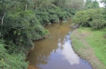 Estudo indica que qualidade da água é ruim e regular na região