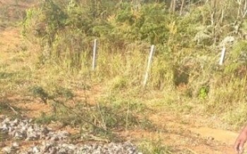 Polícia Civil flagra crime ambiental