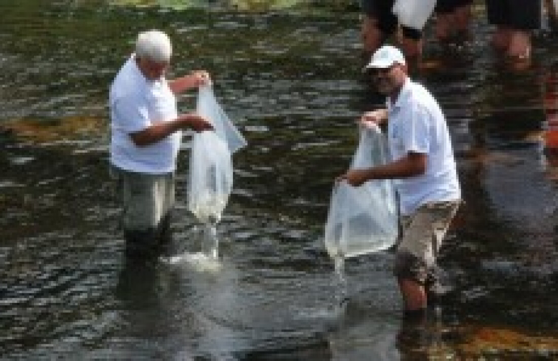 DAEE realiza soltura de peixes no rio Tietê