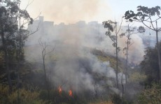 Mogi é primeira no ranking de queimadas no Alto Tietê