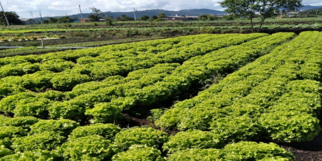 Agricultura promove Campanha de Recolhimento de Embalagens