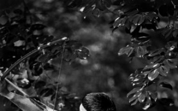 Atrações agitam a programação de Suzano